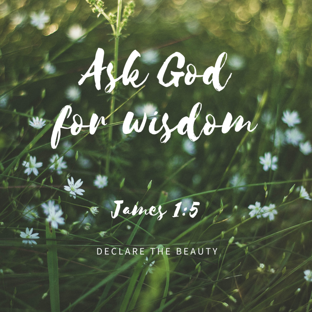 Ask God for wisdom.